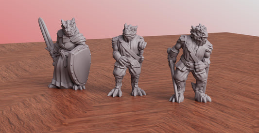 Dragonborn Resin Miniature Set: Fantasy RPG Miniatures (3 Minis)